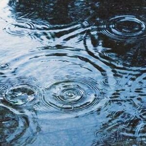 雨