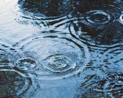 雨